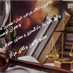 تصویر وکیل پایه یک دادگستری  فهیمه طهماسبی