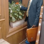  وکیل پایه یک دادگستری دکتر رجبی صدیقی