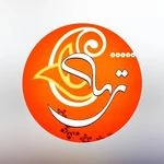 لوگوی آموزشگاه موسیقی ترمه