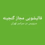 کارخانه قالیشویی مجاز گنجینه