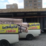 لوگوی بهترین قالیشویی(ماهور) درمارلیک وفردیس