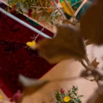 آتلیه کودک  آلما