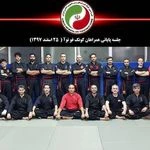 لوگوی مربی کونگ فو