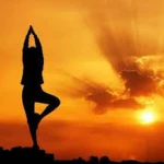  مرکز رسمی تخصصی آینگار یوگای تهران