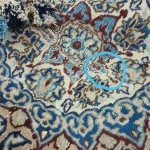  قالیشویی پاتریس