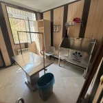 کلینیک دامپزشکی و پت شاپ سیرنگ