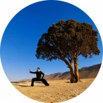 لوگوی آموزش تای چی چی کنگ مراقبه