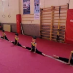 آکادمی تخصصی ژیمناستیک