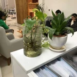 کلینیک لیزر و زیبایی مهرُنا