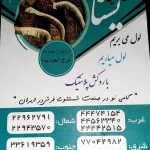 لوگوی قالیشویی و مبل شویی یسنا نزدیک و سریع