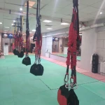 لوگوی باشگاه بانوان تهرانسر