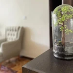 تصویر دکتر روانشناس فریدخت آصف کیا
