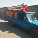  قالیشویی پرهام