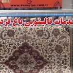 لوگوی قالیشویی باغ فردوس
