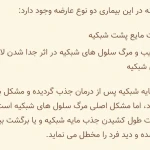 نوشین دادبین
