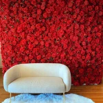  سالن زیبایی Red Beauty