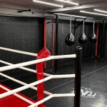 نمونه کار باشگاه تخصصی رزمی پانچ