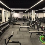نمونه کار باشگاه بدنسازی نوین تن (شعبه 3)
