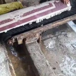 قالیشویی گلستان