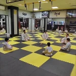 دفاع شخصی رزمی کاتدا