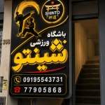 نمونه کار باشگاه ورزشی شینتو ۲