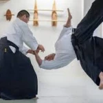  آیکیدو می سی کای