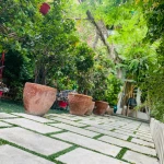 اموزشگاه موسیقی سيمرغ