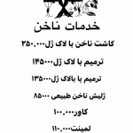 تصویر زیبایی یلدا بانو