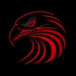 لوگوی گیم نت روگ آرنا ROG ARENA