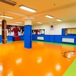 تصویر کاراته و دفاع شخصی شمیرانات