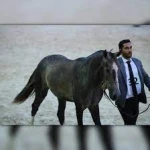 باشـگاه سوارکاری شهرک غزالی