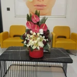 کلینیک زیبایی دکتر محمدرضا رابط