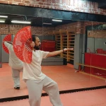 هنر رزمی تایچی و جی کونگ