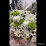 گالری هنری یاسی