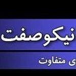 لوگوی آموزشگاه مکالمه زبان انگلیسی نیکو صفت