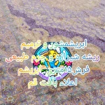 تصویر قالیشویی تخصصی  دا | شبانه روزی