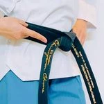 لوگوی آکادمی تکواندو و دفاع شخصی استاد میری