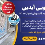  قالیشویی آیدین در دولت آباد
