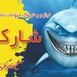 لوگوی پت شاپ شارک