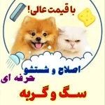 تصویر کلینیک دامپزشکی هاچیکو