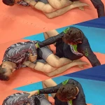 آکادمی جیوجیتسو برزیلی شارکز