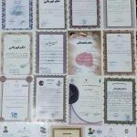 مربی خصوصی بوکس ، بدنسازی (حسین رضایی)