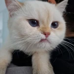 تصویر کلینیک تخصصی دامپزشکی دکتر ذاکریان