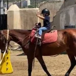  باشگاه سوارکاری زجاجی