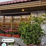  یوگا راه کمال هما اروندیان