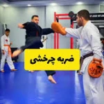  دفاع شخصی مجیبی
