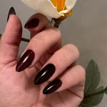 لوگوی خدمات و آموزش تخصصی لاین ناخن آیریس