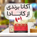 تصویر بیمارستان دامپزشکی ارم