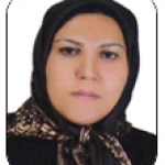 مهری خانی وکیل پایه یک دادگستری