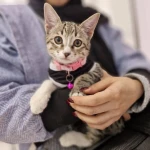 تصویر کلینیک دامپزشکی و پت شاپ رکس